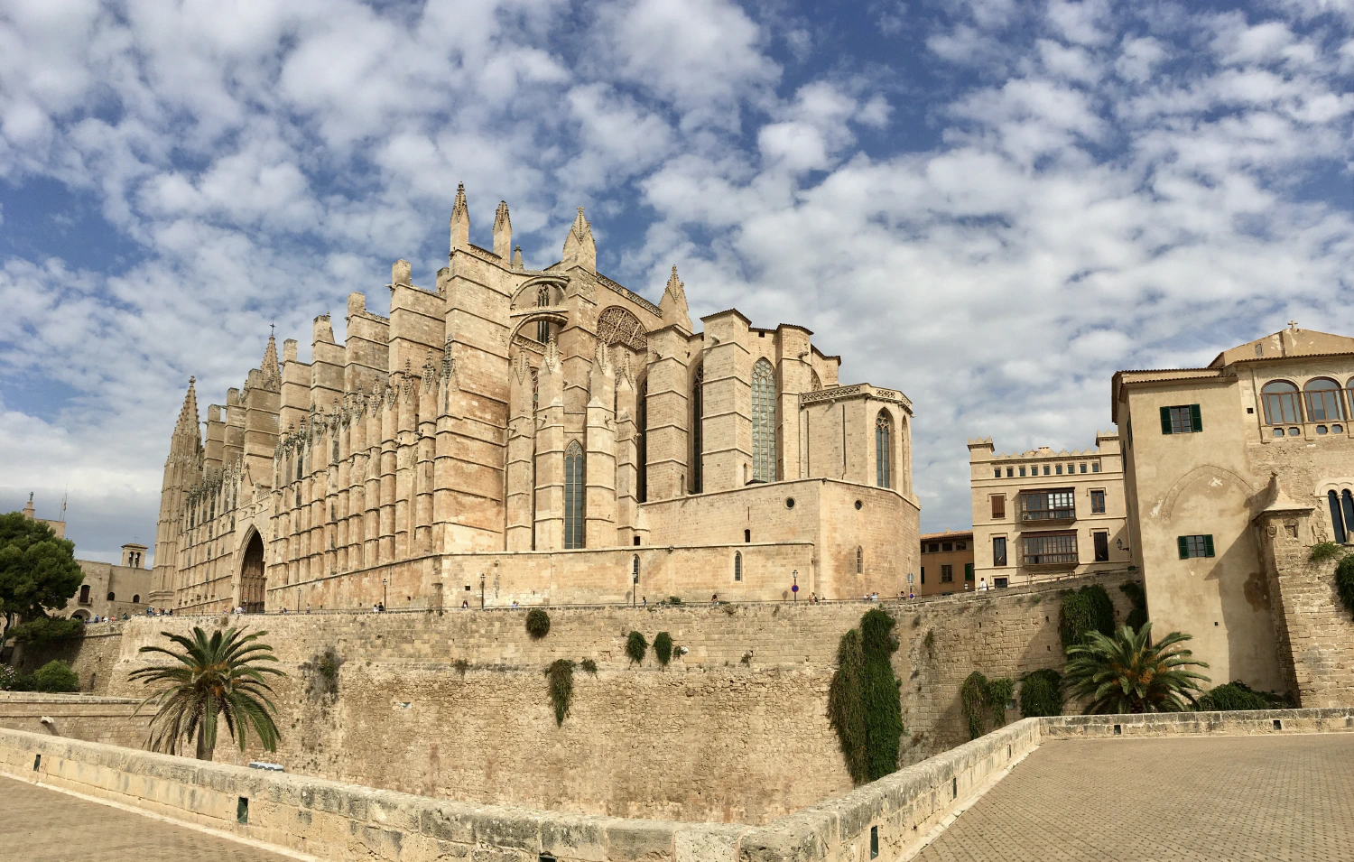 Palma