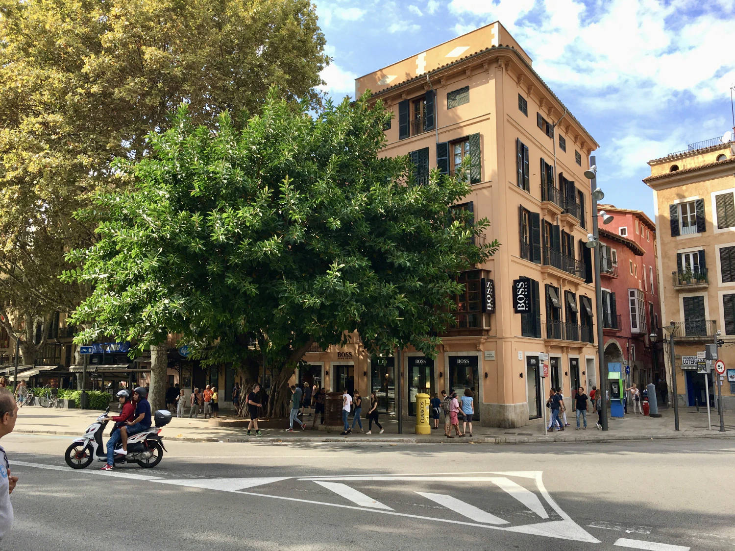 Palma