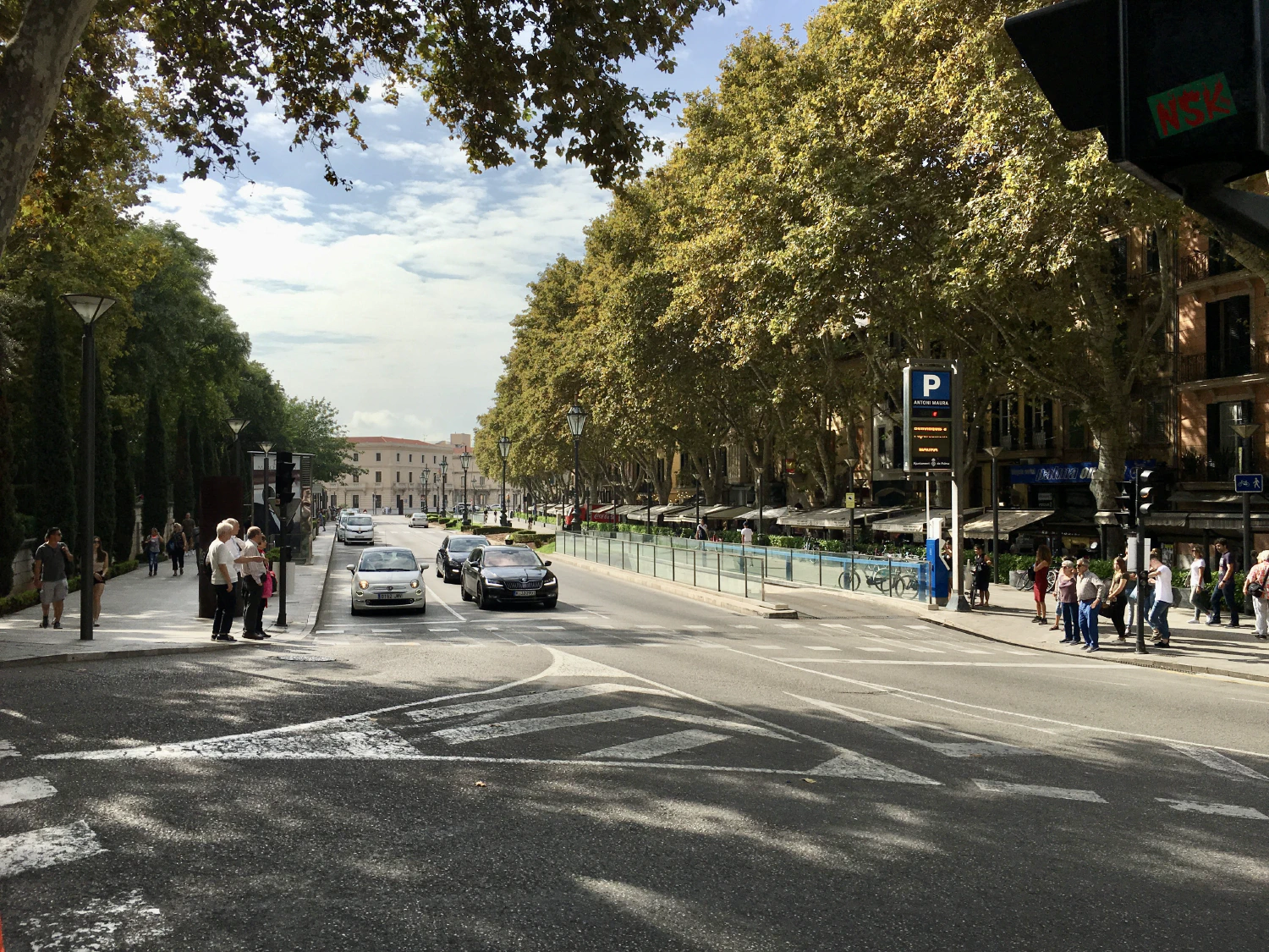 Palma