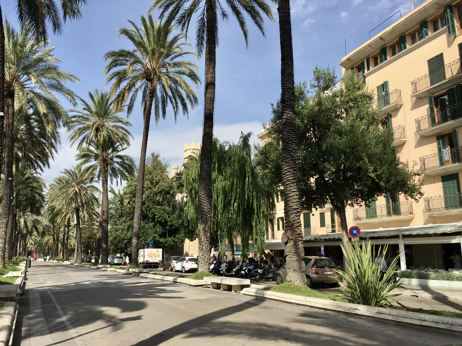 Palma