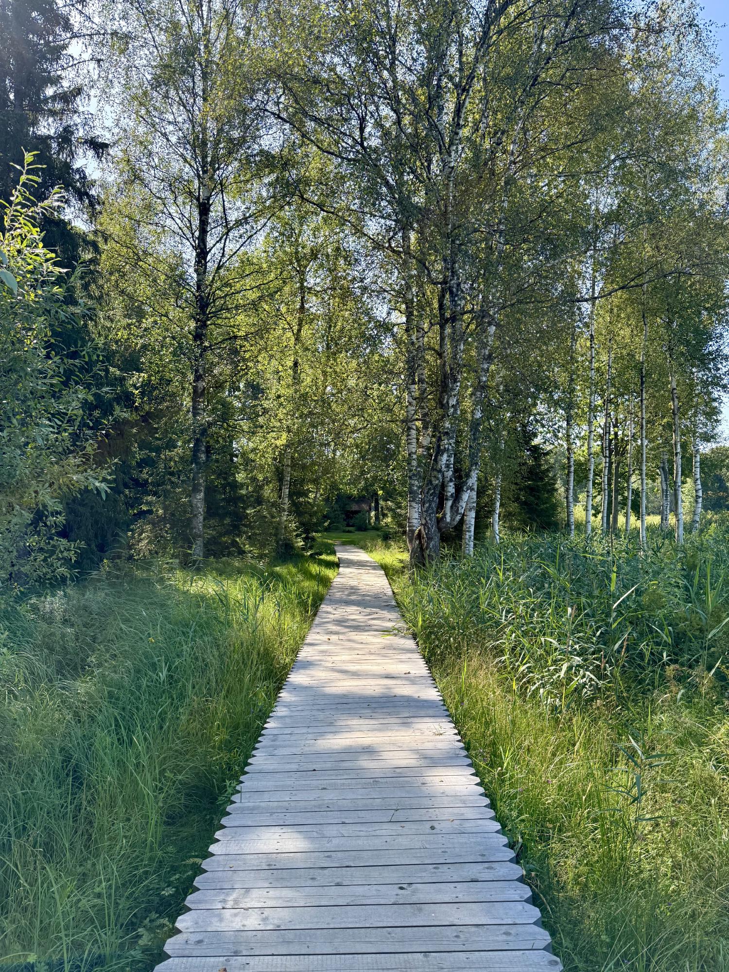 Āraišu ezerpils