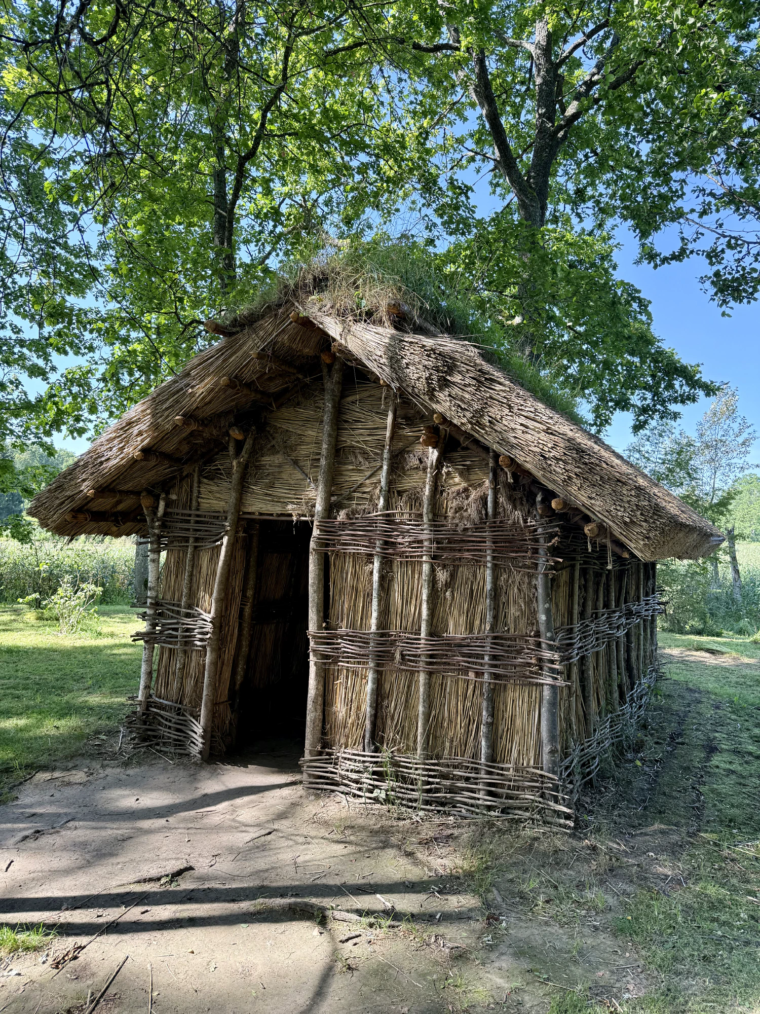 Āraišu ezerpils