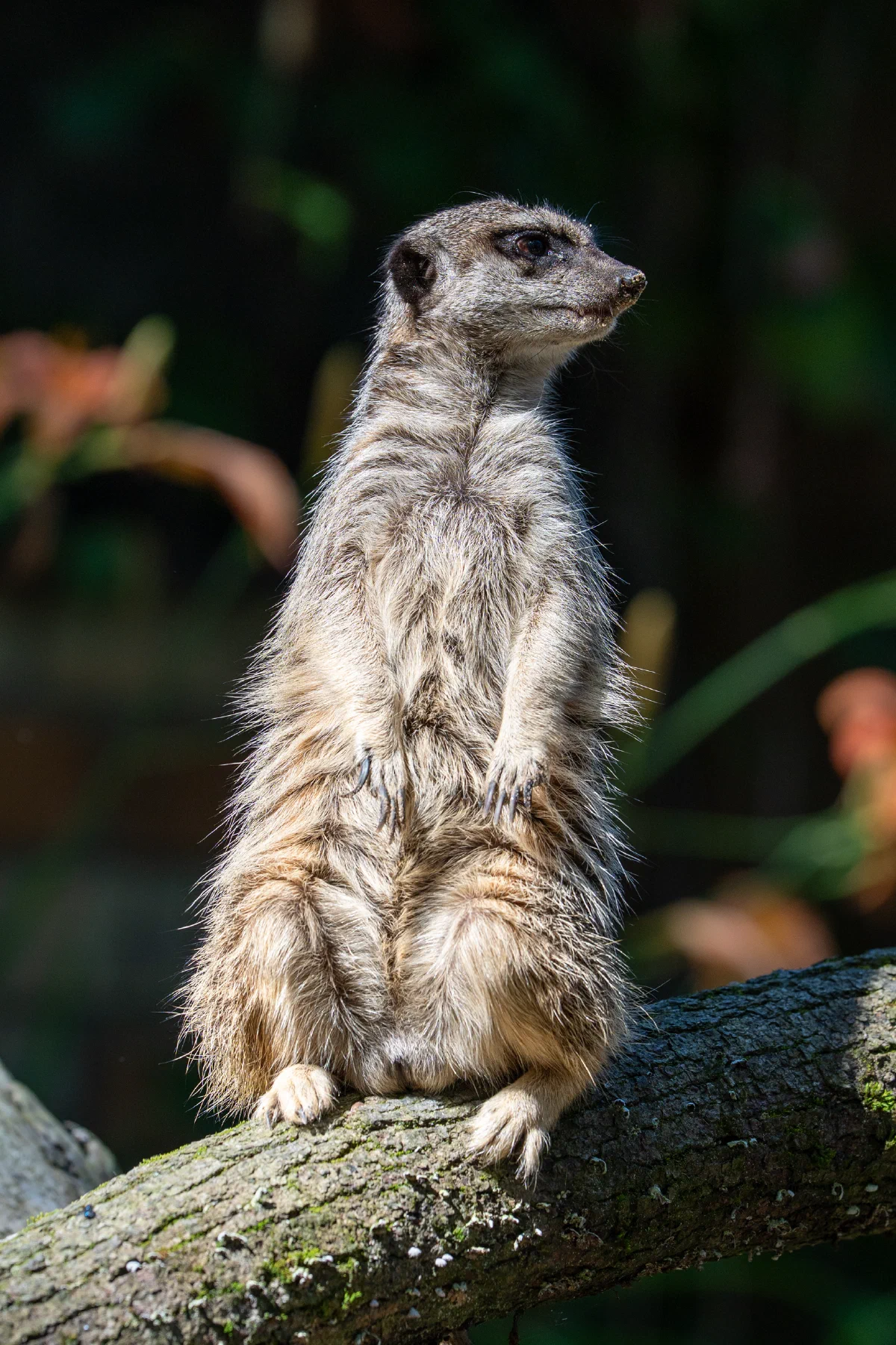 Rīgas Zoo — 4